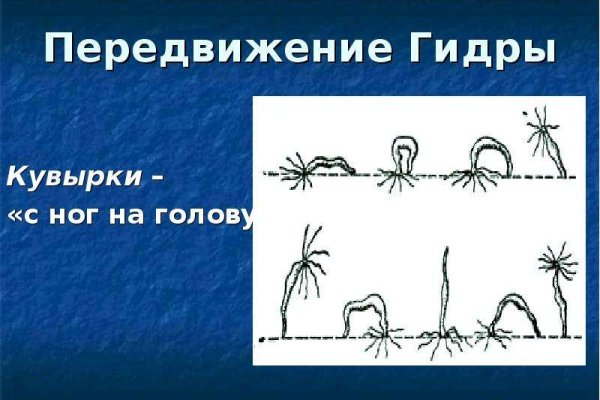 Kraken где