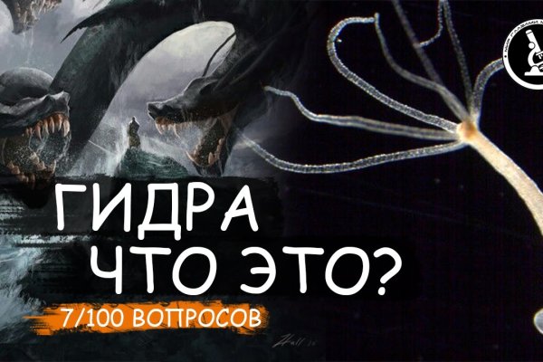 Kraken это